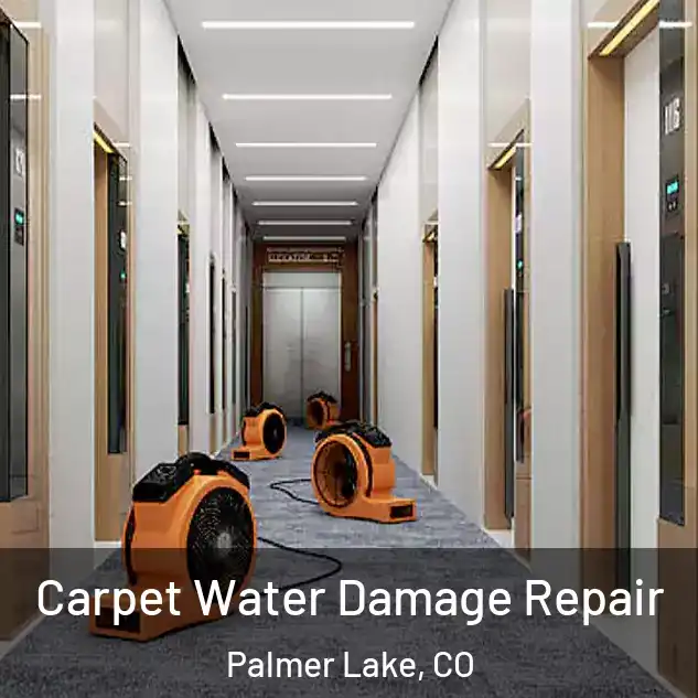  Carpet Water Damage Repair Palmer Lake, CO