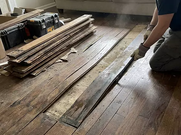 Water Damage Drying in Palmer Lake