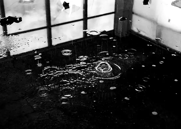 Your Contaminated Water Removal Specialists in Palmer Lake, CO
