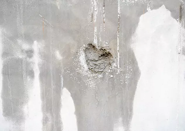 Your Mold Mitigation Solutions Partner in Palmer Lake, CO