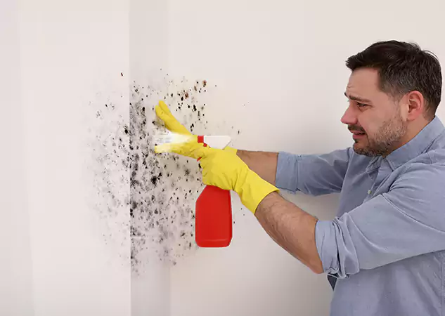 Your Water Mold Fire Restoration Partner in Palmer Lake, CO