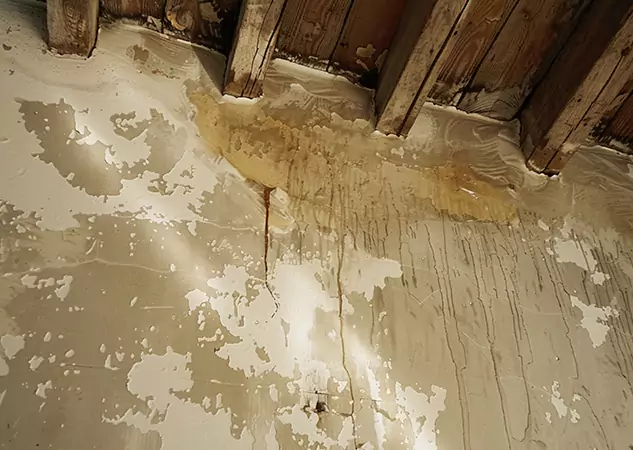 Your Trusted Restoration Company in Palmer Lake, CO