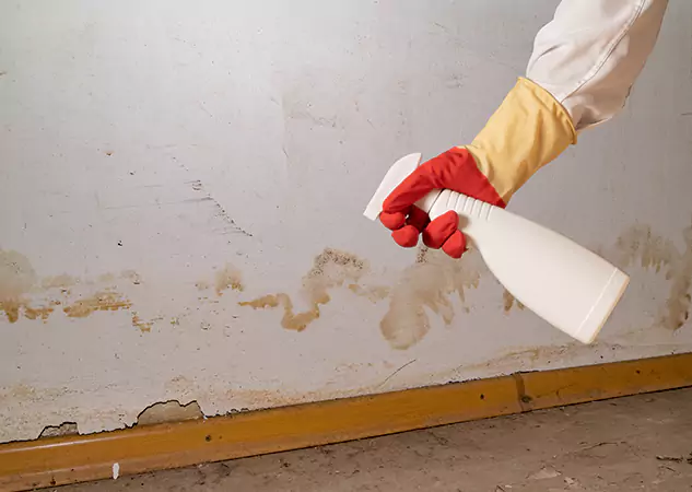 Your Water Restoration and Mold Remediation Specialists in Palmer Lake, CO