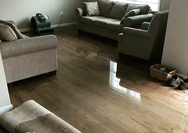 Your Trusted Restoration Company in Palmer Lake, CO
