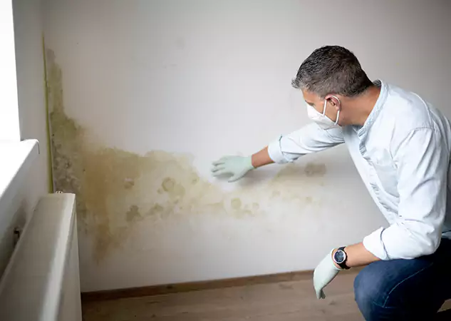 Reach Our Remediation Team Before Damage Grows in Palmer Lake, CO!