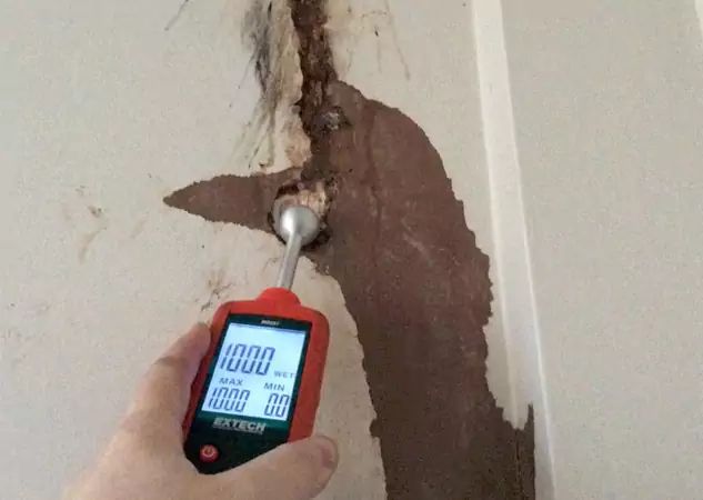 Your Water Damage Assessment Partner in Palmer Lake, CO