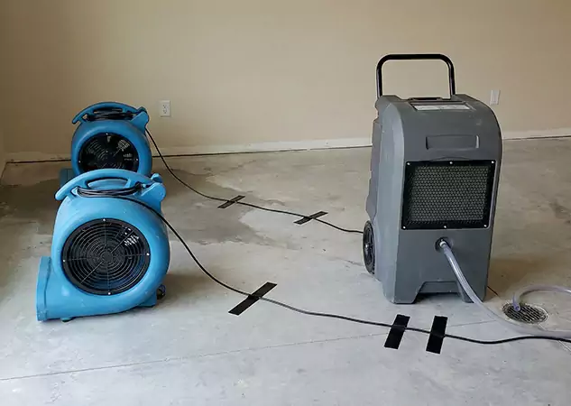 Your Water Dry Out Company in Palmer Lake, CO