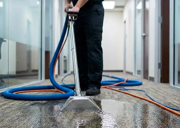 Your Water Damaged Carpet Restoration Partner in Palmer Lake, CO