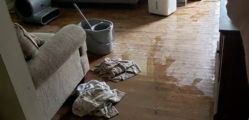 Professional Basement Water Remediation Services in Palmer Lake, CO