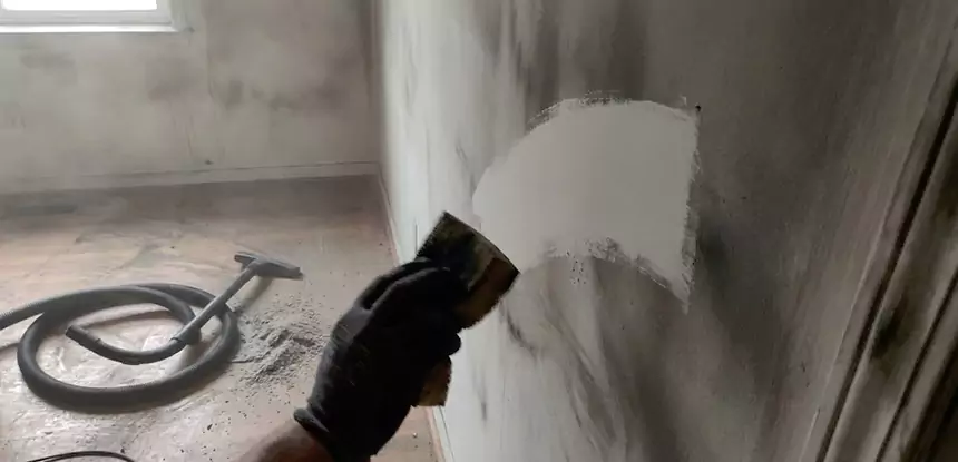 Professional Water and Fire Damage Restoration Services in Palmer Lake, CO