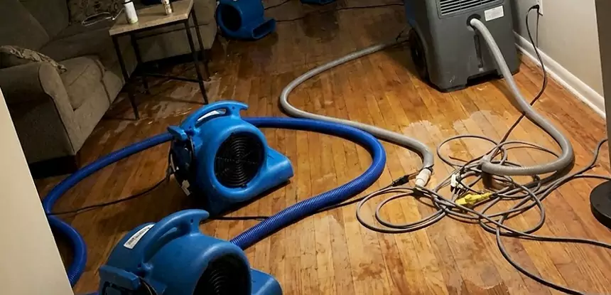 Basement Flood Restoration Services in Palmer Lake