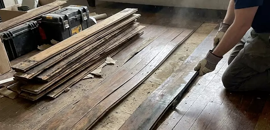 Wood Rot and Fungus Repair in Palmer Lake