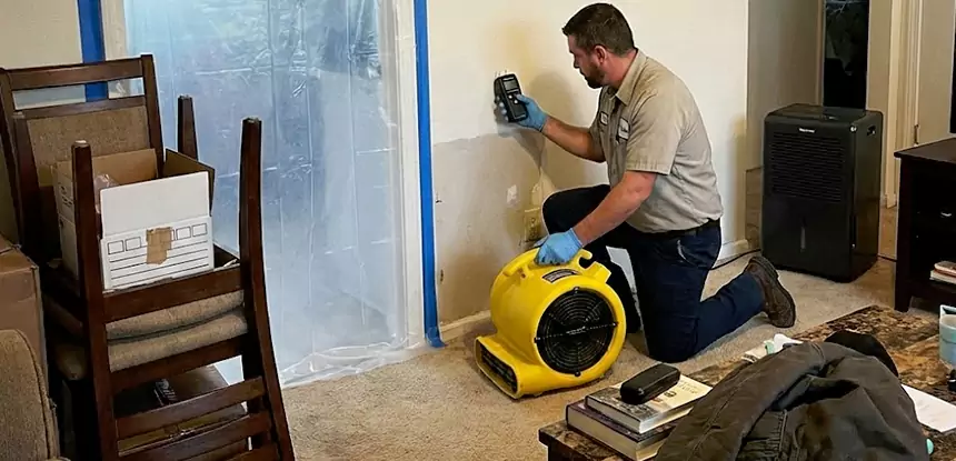 Carpet Water Damage Repair Palmer Lake