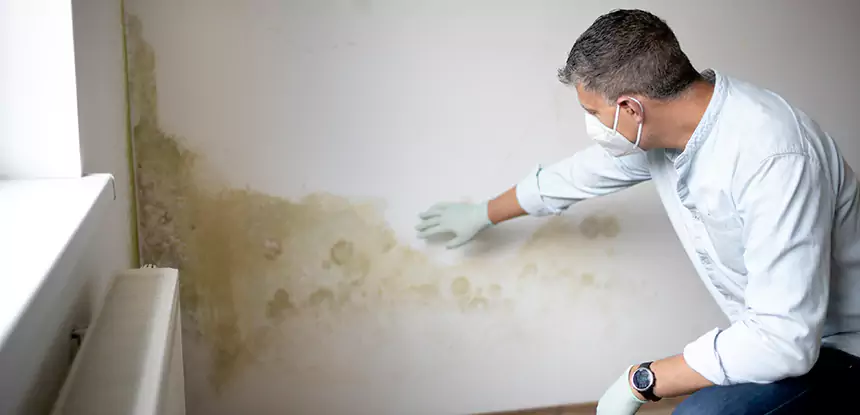 Mold and Water Damage Repair in Palmer Lake