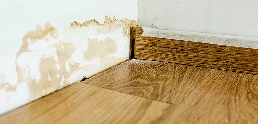 Professional Fix Water Damaged Wood Services in Palmer Lake, CO