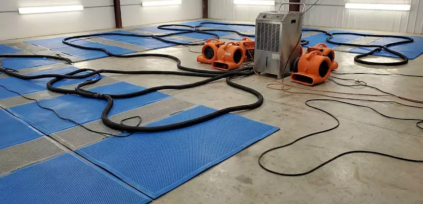 Professional Flooded Carpet Drying Services in Palmer Lake, CO