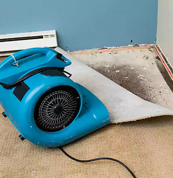 Why Palmer Lake Trusts Palmer Lake Restoration Pro for Carpet Flood Recovery?