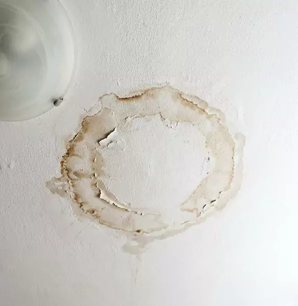 Why Palmer Lake Property Owners Choose Palmer Lake Restoration Pro for Ceiling Water Damage Restoration?