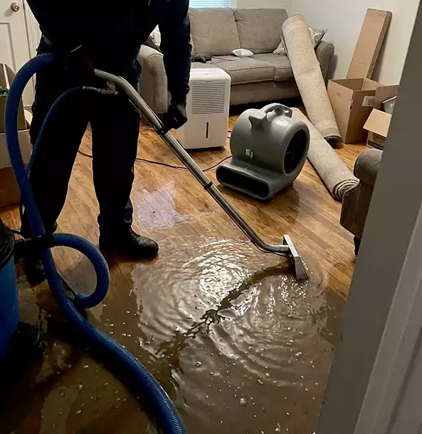 Why Palmer Lake Trusts Palmer Lake Restoration Pro for Flood Cleanup?