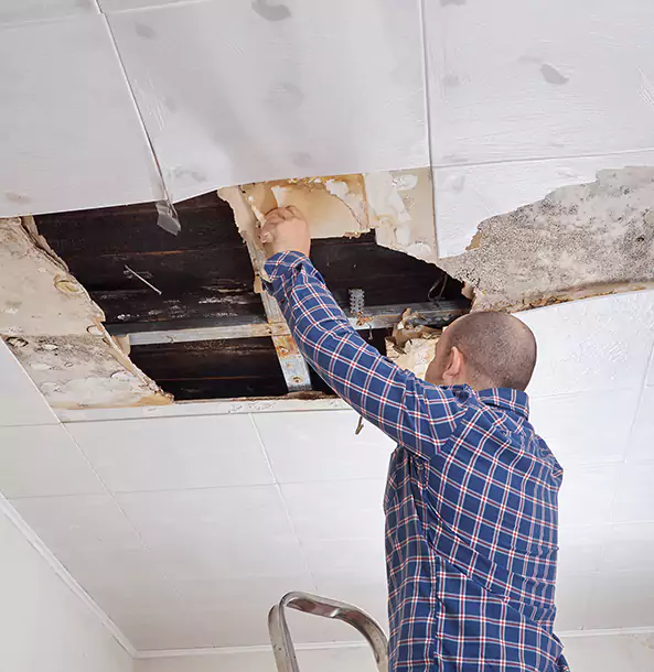 Why Palmer Lake Property Owners Choose Palmer Lake Restoration Pro for Reconstruction?