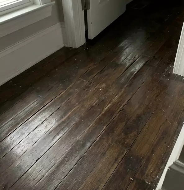 Why Palmer Lake Homeowners Trust Palmer Lake Restoration Pro to Fix Water Damaged Wood?