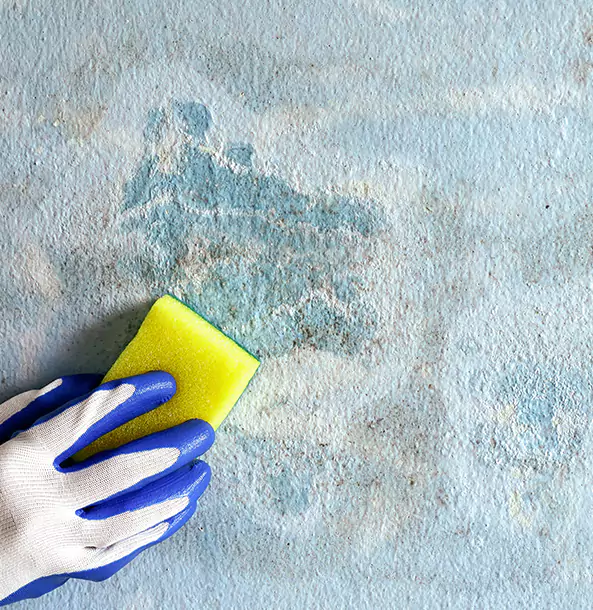 Why Palmer Lake Restoration Pro Is the Right Choice in Palmer Lake, CO?