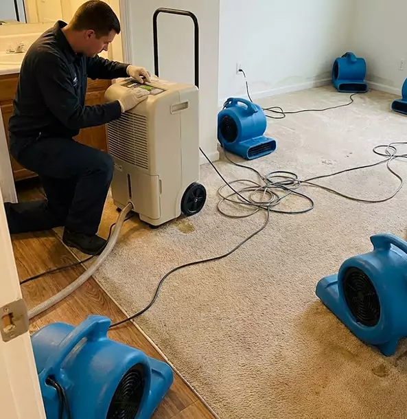 Why Palmer Lake Homeowners and Businesses Trust Palmer Lake Restoration Pro for Carpet Drying?