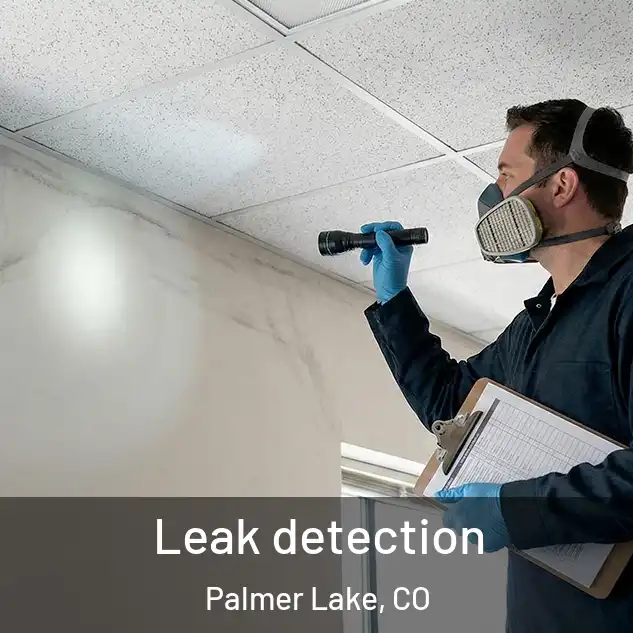  Leak detection Palmer Lake, CO