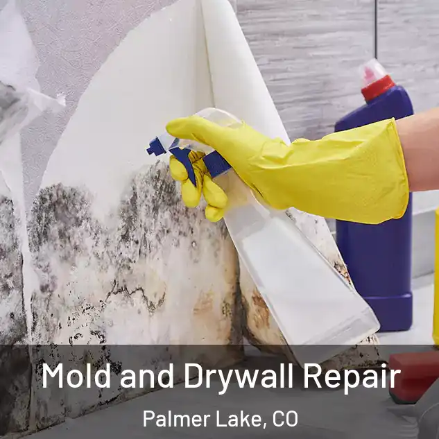  Mold and Drywall Repair Palmer Lake, CO