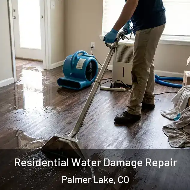  Residential Water Damage Repair Palmer Lake, CO