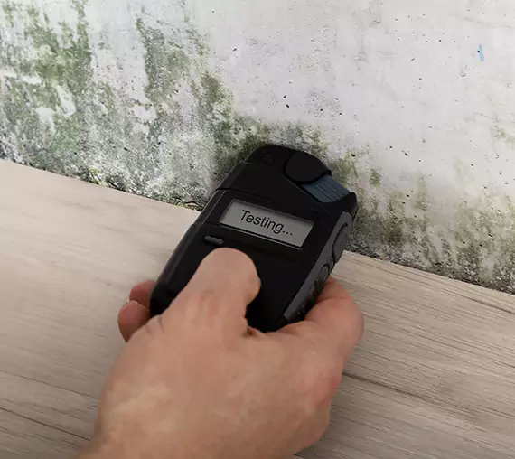Mold Remediation Service Palmer Lake