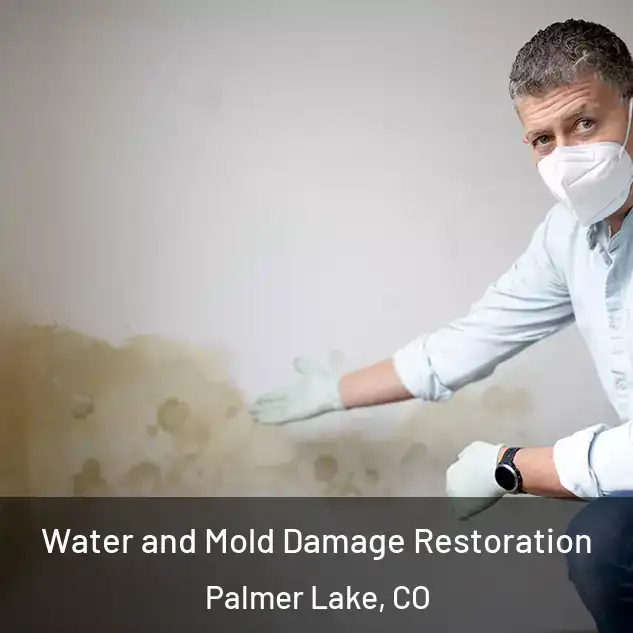  Water and Mold Damage Restoration Palmer Lake, CO