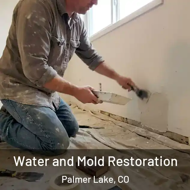  Water and Mold Restoration Palmer Lake, CO