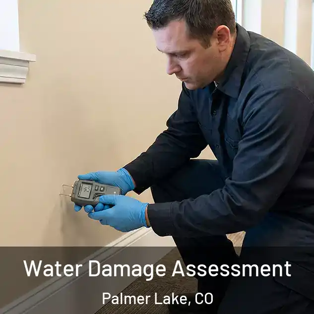  Water Damage Assessment Palmer Lake, CO
