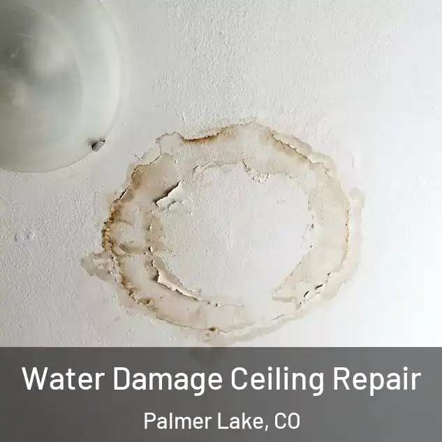  Water Damage Ceiling Repair Palmer Lake, CO