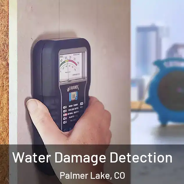  Water Damage Detection Palmer Lake, CO