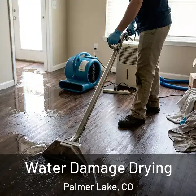  Water Damage Drying Palmer Lake, CO