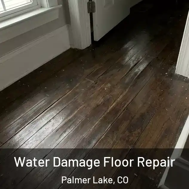  Water Damage Floor Repair Palmer Lake, CO