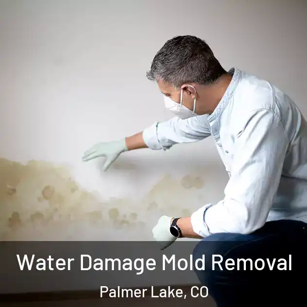  Water Damage Mold Removal Palmer Lake, CO