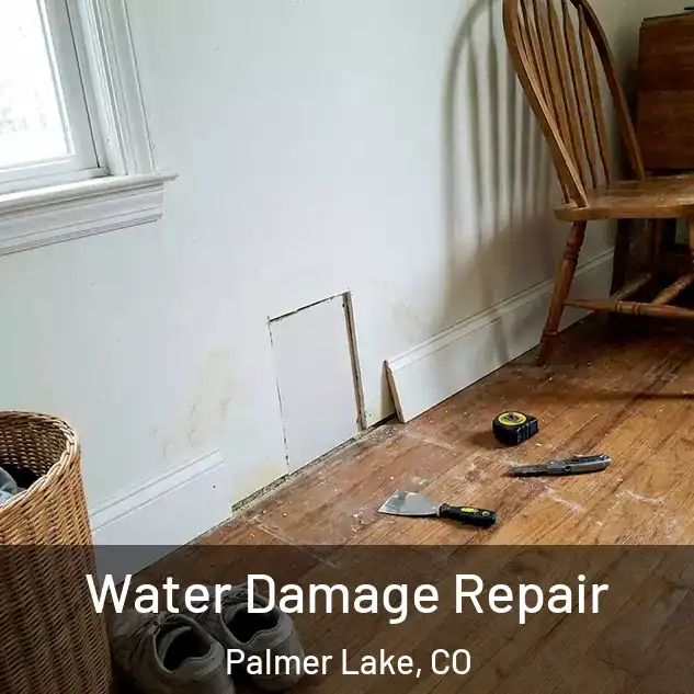  Water Damage Repair Palmer Lake, CO