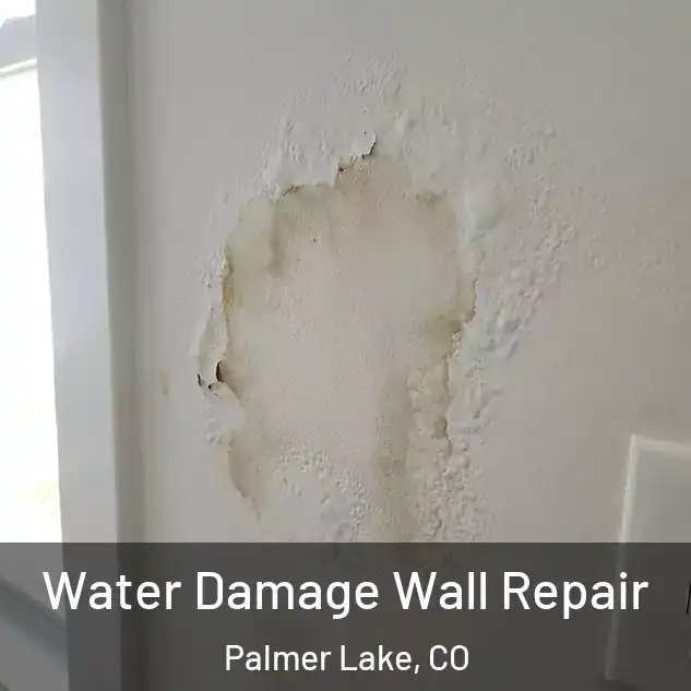  Water Damage Wall Repair Palmer Lake, CO