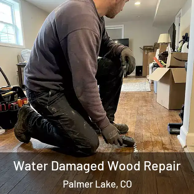  Water Damaged Wood Repair Palmer Lake, CO