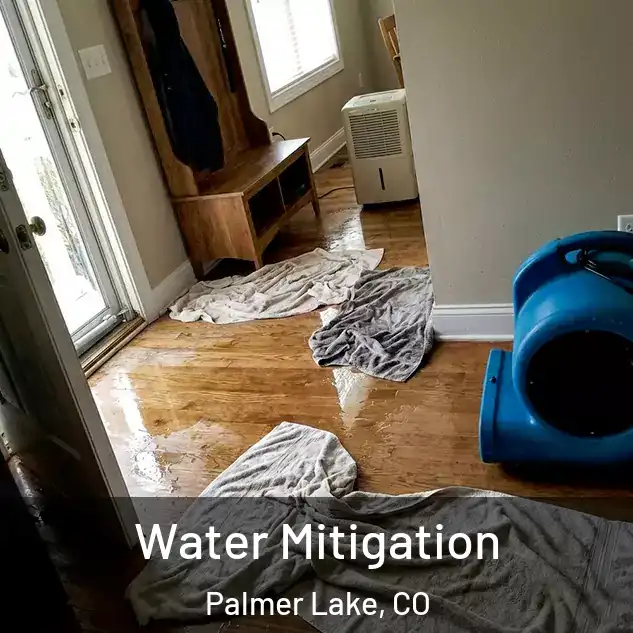  Water Mitigation Palmer Lake, CO