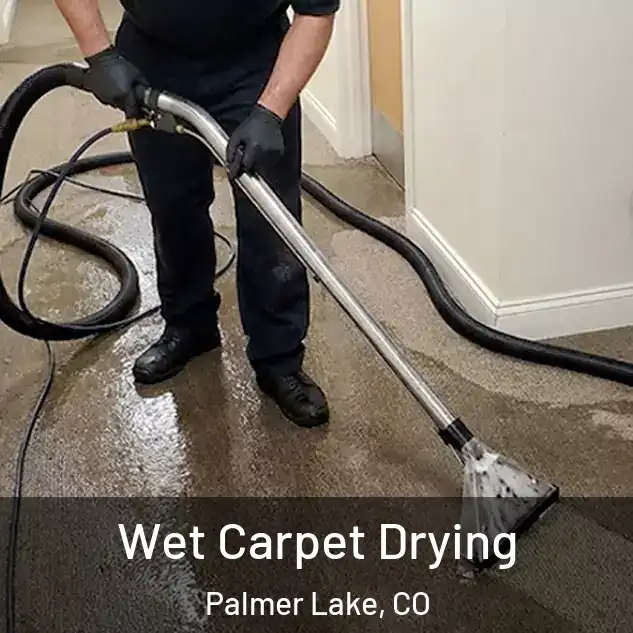  Wet Carpet Drying Palmer Lake, CO