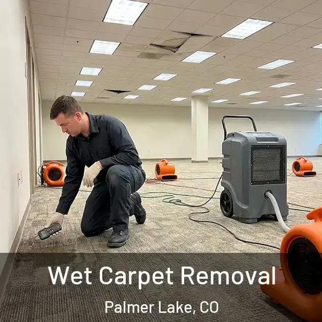  Wet Carpet Removal Palmer Lake, CO